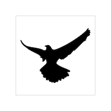 Kartal Folyo Sticker Derstv744 60cm Uzunluk Siyah