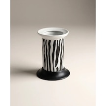 Zebra Set Üstü Diş Fırçalık Renkli