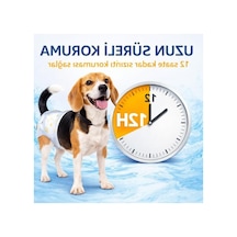 Ultra Emici L Beden Dişi Köpek Ve Kedi Tuvalet Bezi, Sızdırmaz Açık Indigo