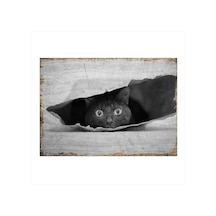 Bedeko Kese Kağıdındaki Siyah Kedi Mdf Poster 35 Cm X 50 Cm