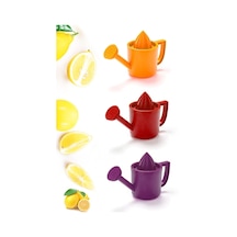 Bahçıvan Limonluk Süzgeçli Limon Sıkacağı Sulama Limon Ibriği Plastik Diğer