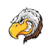 Kartal Kafası Oto Araba Sticker Etiket 17 Cm