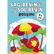 Sağ Beyin-sol Beyin Gelişimi 4+ Yaş - Qhdh-667442