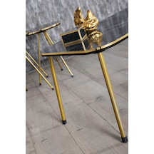 Zigon Sehpa Ve Orta Sehpa Kr Set Çift Gold Bendir Metal Diğer