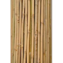 Bambu Çubuk Bitki Destek Çubuğu 10 Adet 22-24 Mm X 210 Cm