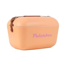 9382 Sorbet-rosa Classic Soğuk Ve Sıcak Termos Çanta 12l Turuncu