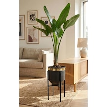 Gold Detaylı Metal Ayaklı Siyah Saksı Standı 40 Cm Dekoratif Modern Saksılık .