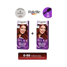 Palette Göz Alıcı Renkler 6-88 Yoğun Kızıl 2'li + Gliss Tarak