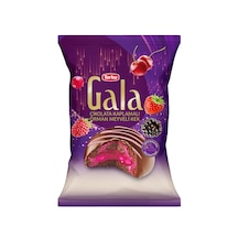 Gala Orman Meyveli Kek 50 Gr 24 Adet