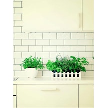 Videolu Mutfakta Bitki Seti Saksıda Kekik Biberiye Adaçayı 10 15 Cm 3 Adet Fidesi Kitchen Herb Set Diğer