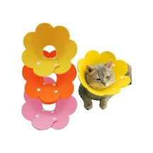 Keçeli Elizabeth Kedi Ve Köpek 8 Li Set