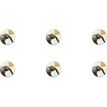 Porland Wild Life Elephant Bardak Altlığı 10 CM 6'lı 04Alm006626 Çok Renkli