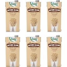 Pınar Nature Blend Bitkisel Bazlı Yulaf İçeceği 1 Lt X 6 Adet
