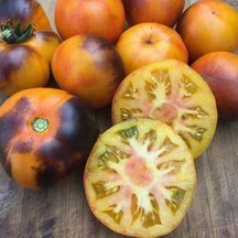 Lucid Gem Alacalı İçi Turuncu Domates Tohumu 15 Tohum