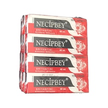 Necipbey Yağsız Briyantin 12 x 40 ML