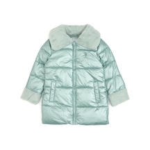 Mint Yeşili