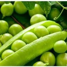 200 Adet Tohum Organik Geleneksel Bezelye Tohumu Sebze Tohumu