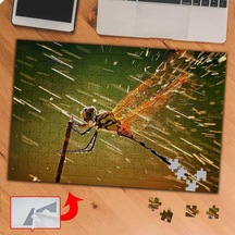 Renkli Kanatlı Uçan Sinek 240 Parça Puzzle Yapboz Tablo-p117