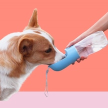 Büro Ev Ofis Evcil Kedi Köpek Hayvanı İçin 450mlpet Suluğu Taşınır Butonlu Suluk