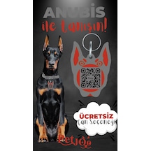 Petjoo 30.Anubis Kırmızı-Gri Qr'lı Köpek Künyesi
