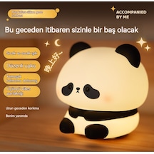 Led Paşık Ortamışığıge Lambası-toutou 1 Diğer