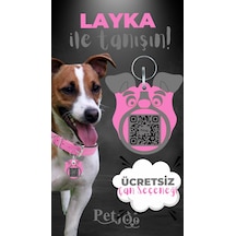 Petjoo 22.Layka Gri-Pembe Qr'lı Köpek Künyesi