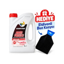 Şampiyon Organik Antifriz -55 C 3 Lt. - Eldivenli Buz Kazıyıcı Hediyeli