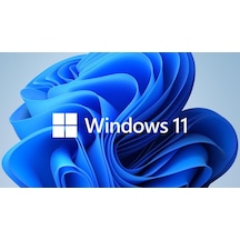 MS Windows 11 Pro FQC-10556 64 Bit TR (Oem)