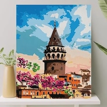 Numaralı Boyama Tuval Seti Fırça Ve Boya Dahil