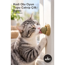 2 Adet Kedi Otu Oyun Topu Catnip Çift Bantlı