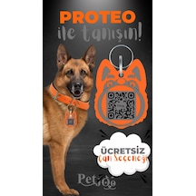 Petjoo 24.Proteo Gri-Turuncu Qr'lı Köpek Künyesi