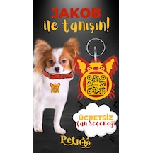 Petjoo 8.Jakob Sarı-Kırmızı Qr'lı Köpek Künyesi