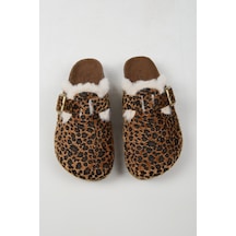 Leopar