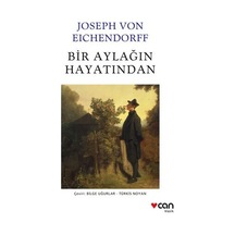 Bir Aylak Olmanın Hayatındaki Hikayesi