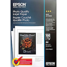 Epson C13041061