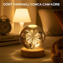 Usb Bağlantılı Yonca Bitkili Cam Küre Ahşap Altlıklı Dekoratif Lamba Altın