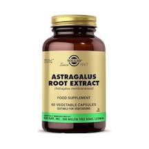 Astragalus Root Extract 60 Kapsül