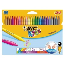 Bic Kids Plastidecor Silinebilir Elleri Kirletmeyen Pastel Boya  24 Renk