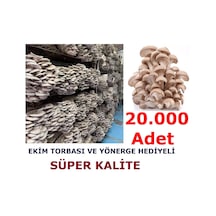 İstiridye Kavak Kayın Mantarı Tohumu Ekim Poşeti Ve Yönergeli N115653