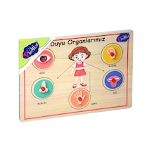 166/167 Onyıl. Ahşap Tutmalı Organlar