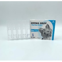 Dr. Sed 1-10 KG Köpek Deri Bakım Damlası 5 x 1 G