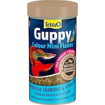 Tetra Guppy Clour Mini Flakes Lepistes Pul Balık Yemi 250 Ml