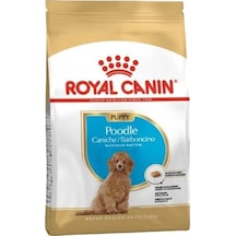 Royal Canin Poodle Puppy Köpek Maması 3 Kg