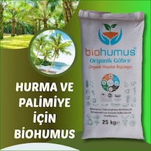 Palmiye İçin, Biohumus Organik Gübre, Kök Geliştirici, Toprak Düz