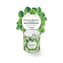 Buffer Konserve Bahçem Evde Konservede İri Yapraklı Kıvırcık Yetiştirme Kiti