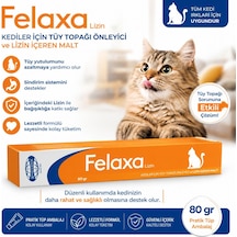 Biyoteknik Felaxa Lizin Oral Pat Malt 80 Gr