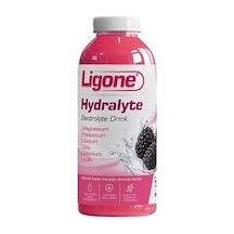 Ligone Hydralyte Electrolyte Drink Karadut Aromalı 250 Ml