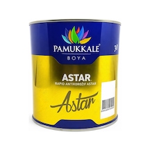 Pamukkale 1650 Rapid Endüstriyel Astar 0.75 Kg Beyaz 0,75 KG