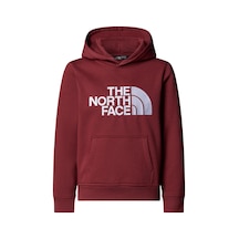 The North Face Teen Drew Peak Pullover Hoodıe Genç Çocuk Sweatshirt Nf0a8ehh0vo1 Çok Renkli