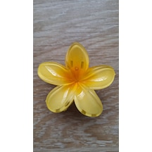 Bayan Renkli Lotus Dişli Toka Sarı